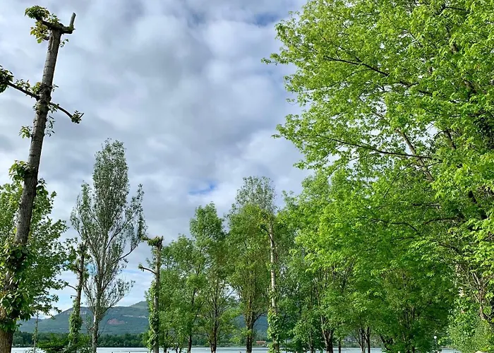 Point مكان تخييم Serrieres-de-Briord